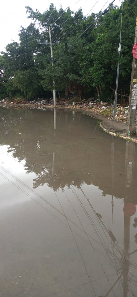 Cortesia: Arturo Sánchez