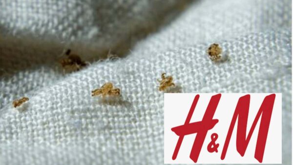 Denuncian brote de piojos en tienda de ropa de H&M