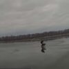 Video: Policía rescata a perrita de lago congelado
