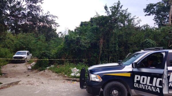 Localizan en Cancún restos humanos de dos personas, en la SM 107