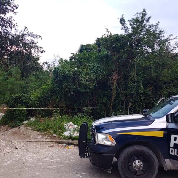 Localizan en Cancún restos humanos de dos personas, en la SM 107