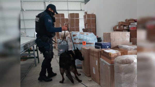 Rinde frutos unidad canina de la SSPyTM de Playa Del Carmen