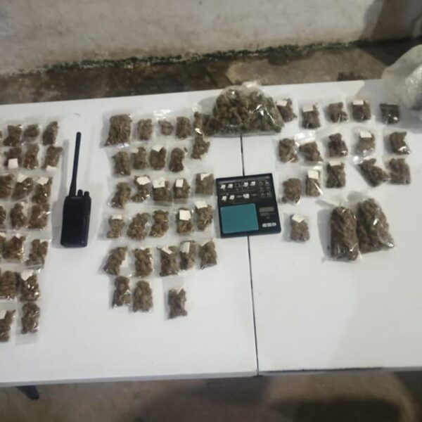 Catean inmueble y aseguran droga en Isla Mujeres.