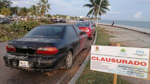 Abren queja en Derechos Humanos por tala de árboles en Chetumal.