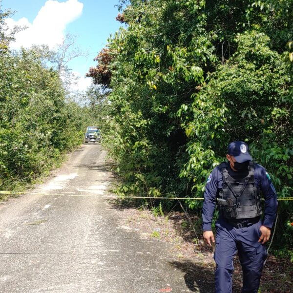 Hallan cuerpos de dos ejecutados en la colonia México (VIDEO).