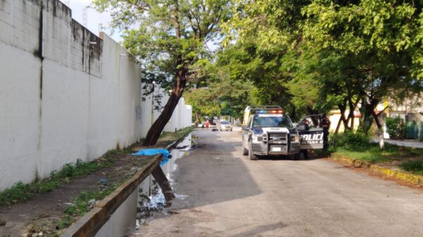 Hallan a una persona sin vida cerca del panteón Los Olivos.