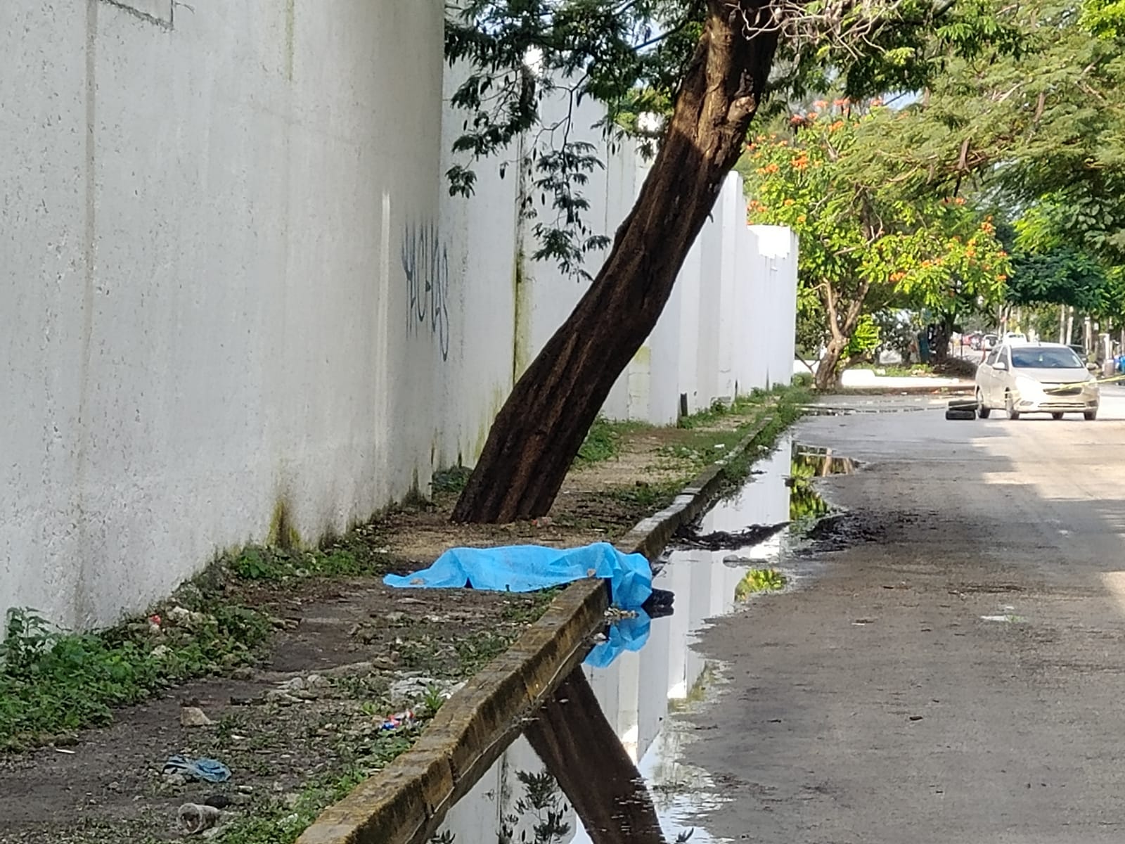 Hallan a una persona sin vida cerca del panteón Los Olivos (VIDEO); la víctima quedó tirada sobre la vía pública en la Supermanzana 99.