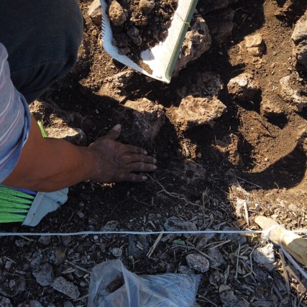 Salvan 3 mil 500 vestigios arqueológicos en ruta del Tren Maya Izamal-Cancún.