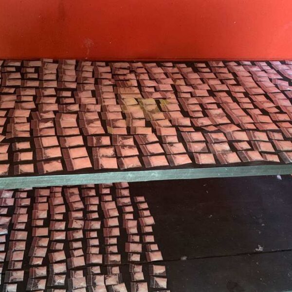 Chetumal: Aseguran más de 600 dosis de doga en un cateo.