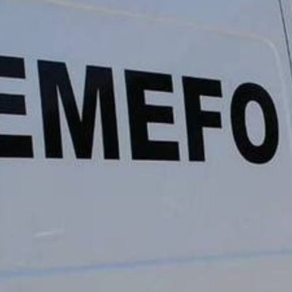 Encuentran cuerpos en estado avanzado de descomposición