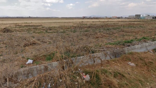 Ejecutan y arrojan los cuerpos de tres hombres en un sembradío