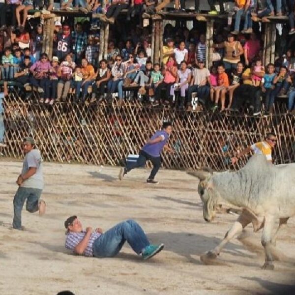 Deja dos heridos el tradicional ‘Baxal Toro’ en Tizimín.
