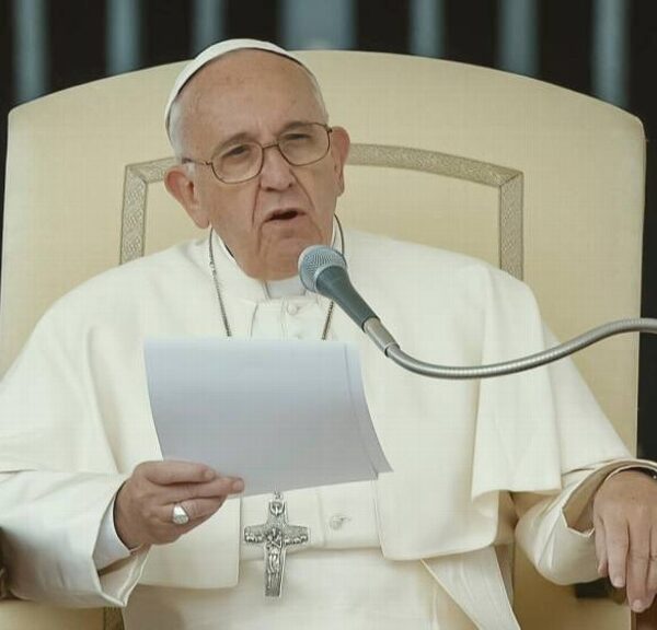 Critica el Papa Francisco que mascotas sean los ‘nuevos hijos’.