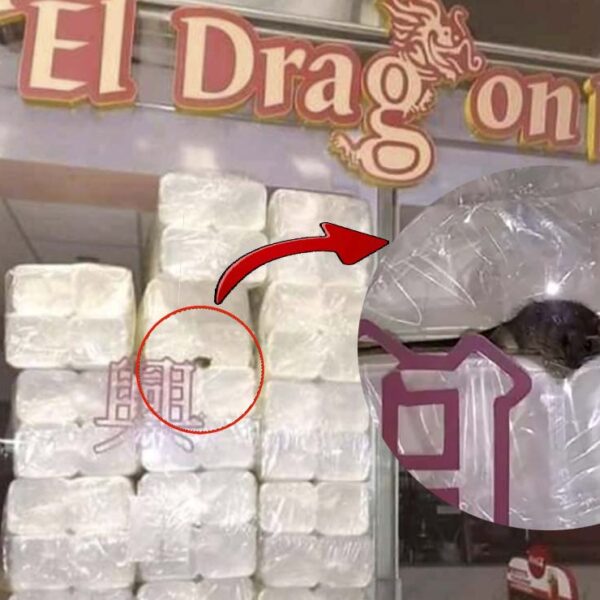 Escándalo en Cancún por rata en negocio de comida china