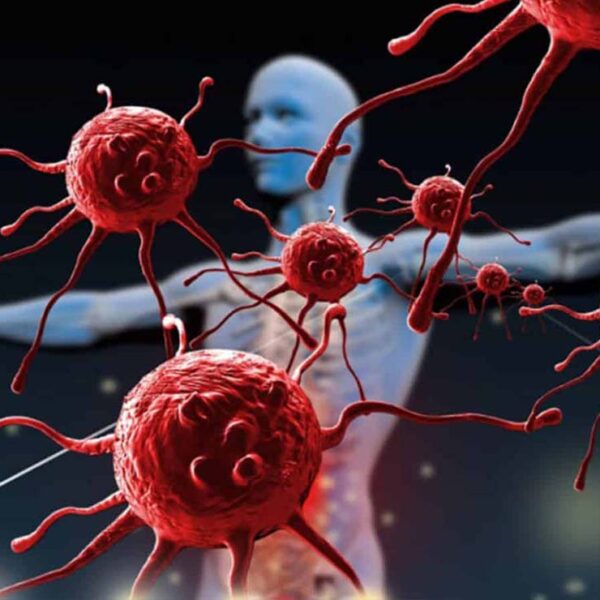 Científicos a un paso de una cura para el VIH