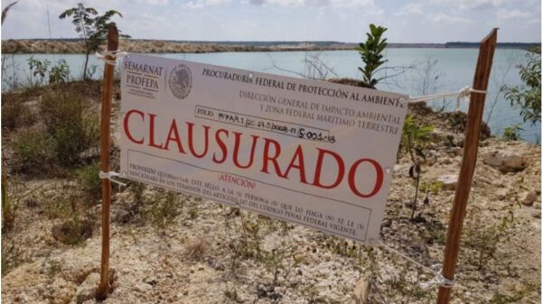 Freno a la destrucción de 500 has en Playa del Carmen: AMLO