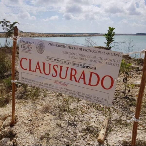 Freno a la destrucción de 500 has en Playa del Carmen: AMLO