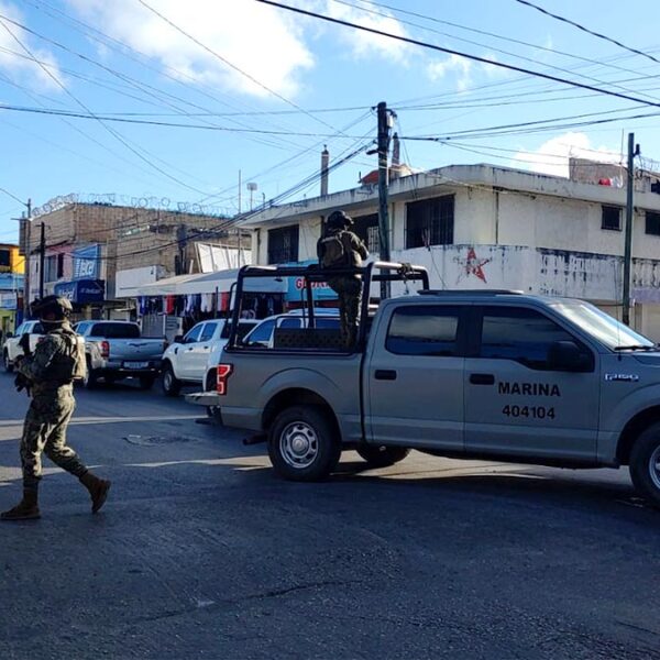 Autoridades federales catean locales en el Crucero de Cancún 