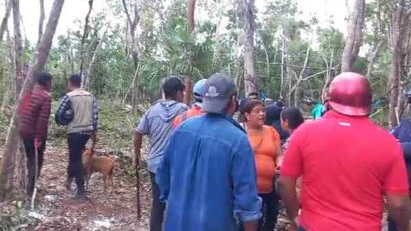 Desalojan predio propiedad del gobierno en Tulum.