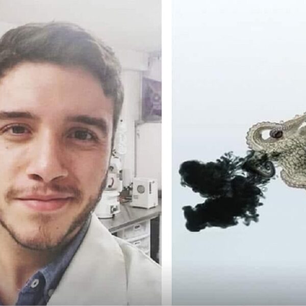 Desarrolla estudiante mexicano compuesto anticáncer aislado de la tinta de pulpo