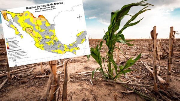 Casi el 15 % de México se encuentra en sequía: Conagua