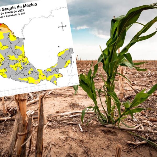 Casi el 15 % de México se encuentra en sequía: Conagua