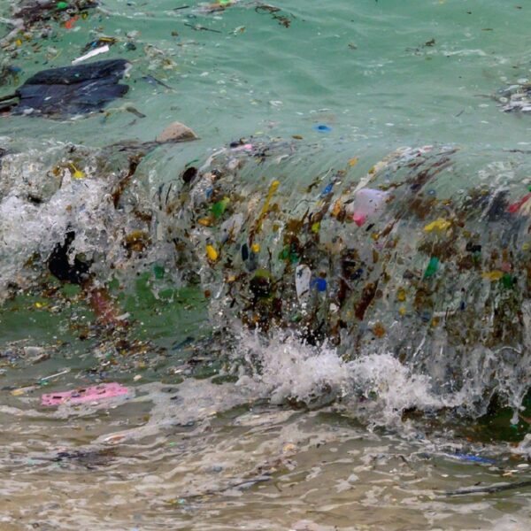 Rebasa límites planetarios contaminación de plásticos