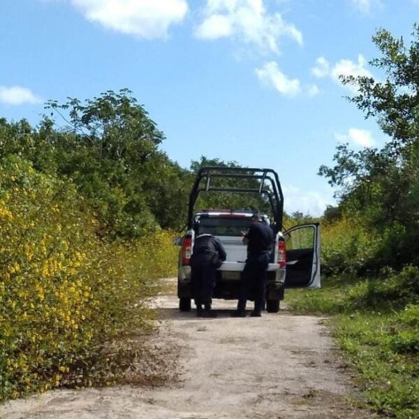 Hallan un cráneo humano en la colonia El Pedregal.