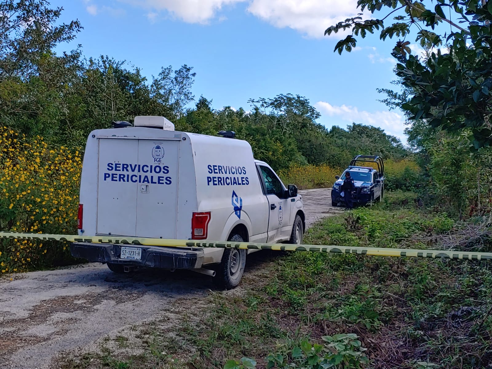 Hallan un cráneo humano en la colonia El Pedregal; vecinos de la zona dieron aviso a la Policía Quintana Roo.
