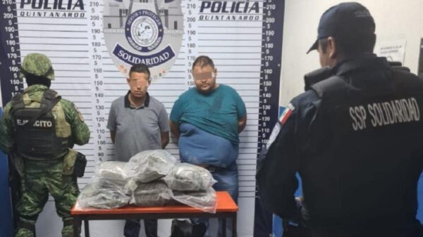 Pretendían ingresar paquetes con droga a Playa del Carmen.