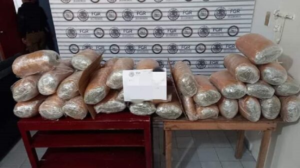Interceptan tráiler con droga con destino a Quintana Roo.