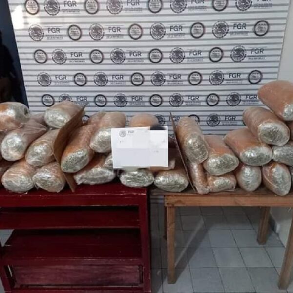 Interceptan tráiler con droga con destino a Quintana Roo.