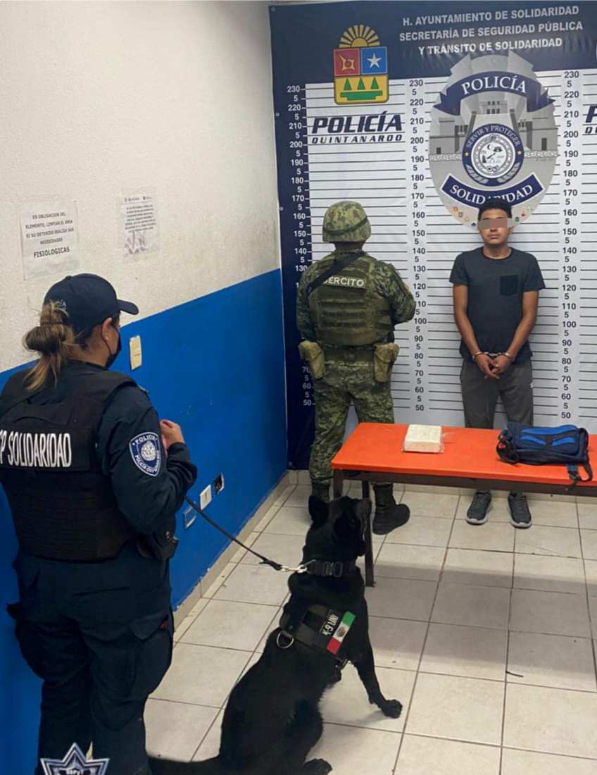 Playa del Carmen: Detienen a sujeto con un ‘ladrillo’ de cocaína; José "N" fue detectado en un puesto de revisión por binomio canino.