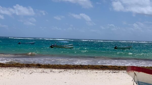 Recibirá Quintana Roo una gran mancha de sargazo en abril.