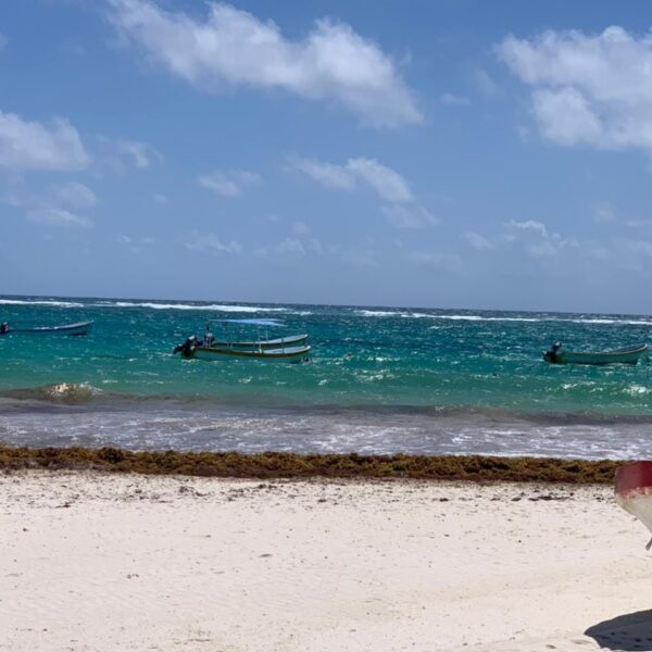 Recibirá Quintana Roo una gran mancha de sargazo en abril.