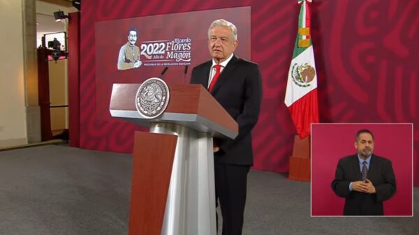 Toca al Poder Judicial caso del hermano de Gertz, dice AMLO