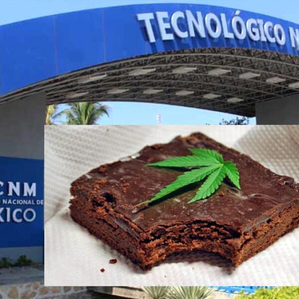 Alumnos en Acapulco se intoxican con pastelillos "espaciales"