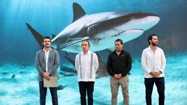 Confianza en las inversiones y visión a largo plazo contribuyen al crecimiento económico de Quintana Roo