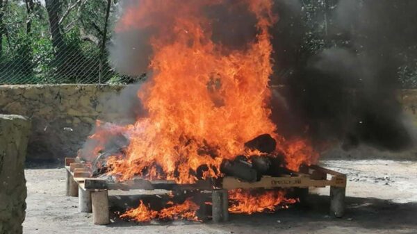 FGR incinera 200 kilos de narcóticos en Quintana Roo