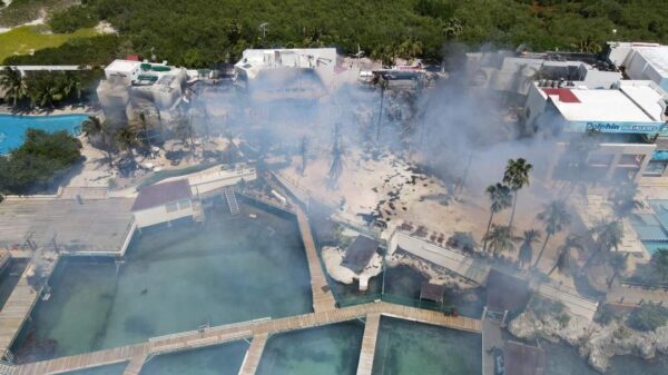 Se incendian palapas de Dolphin Discovery en Isla Mujeres.
