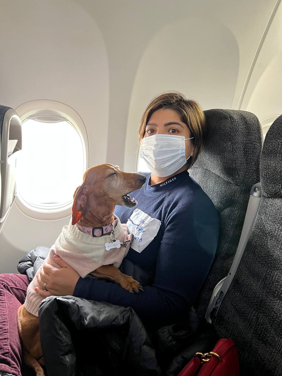 Prensa amarillista y creadora de falsos contenidos, publicaron que a las familias de mexicanos en Ucrania no se les permitía volar con mascotas a México, la perrita Ramona lo desmiente.