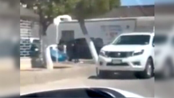 Video: Niñita en Sonora intenta evitar secuestro de su padre