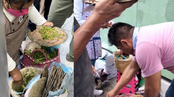 Tlayudas “vuelan” en el AIFA; vendedora hace su “agosto” y brota clasismo