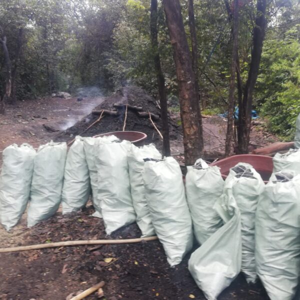 En Kantunilkín pasan peripecias para la producción de carbón vegetal.