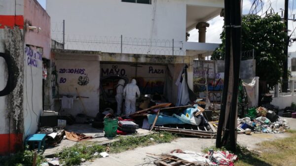 Hallan dos cráneos en la Supermanzana 74 de Cancún.