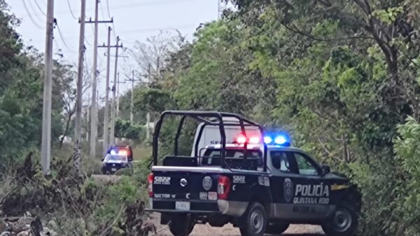 Hallan a un ejecutado en un camino entre La Joya y la colonia Unión de Cancún (VIDEO).