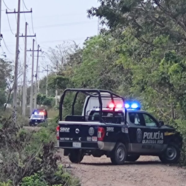 Hallan a un ejecutado en un camino entre La Joya y la colonia Unión de Cancún (VIDEO).