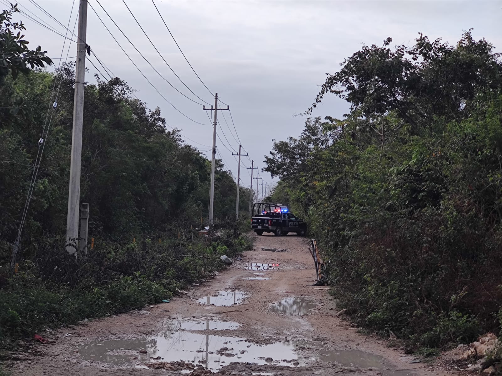 Hallan a un ejecutado en un camino entre La Joya y la colonia Unión de Cancún (VIDEO); la víctima estaba maniatada y al parecer la torturaron.