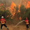 Afecta 1,200 hectáreas incendio en Sierra Santiago, Nuevo León.