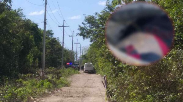 Hallan en un registro a un ejecutado por el rumbo de La Joya.